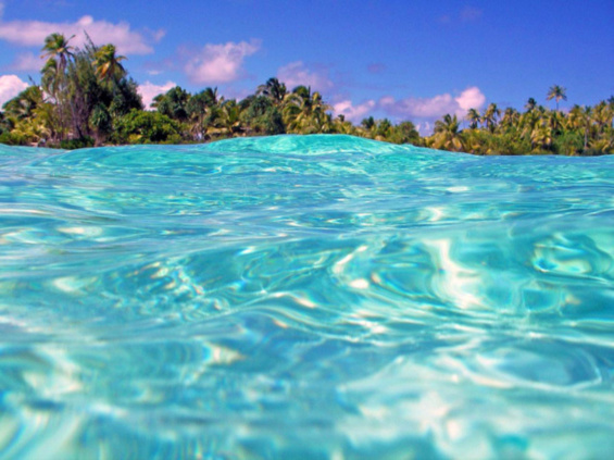 CC Flickr RDPixelShop CC Flickr RDPixelShop